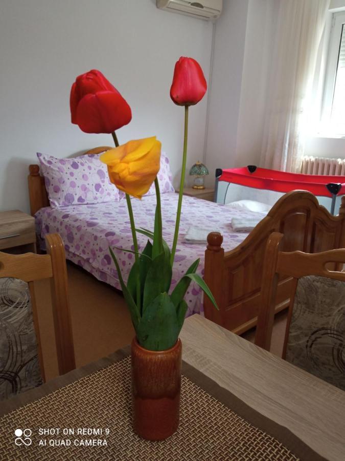 Apartman Andelina Vrnjačka Banja מראה חיצוני תמונה
