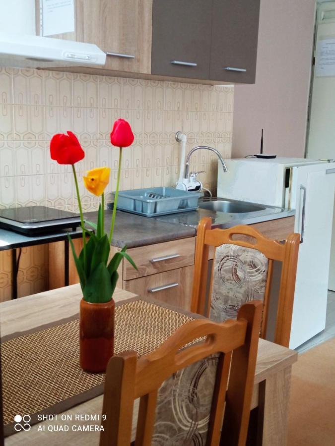 Apartman Andelina Vrnjačka Banja מראה חיצוני תמונה