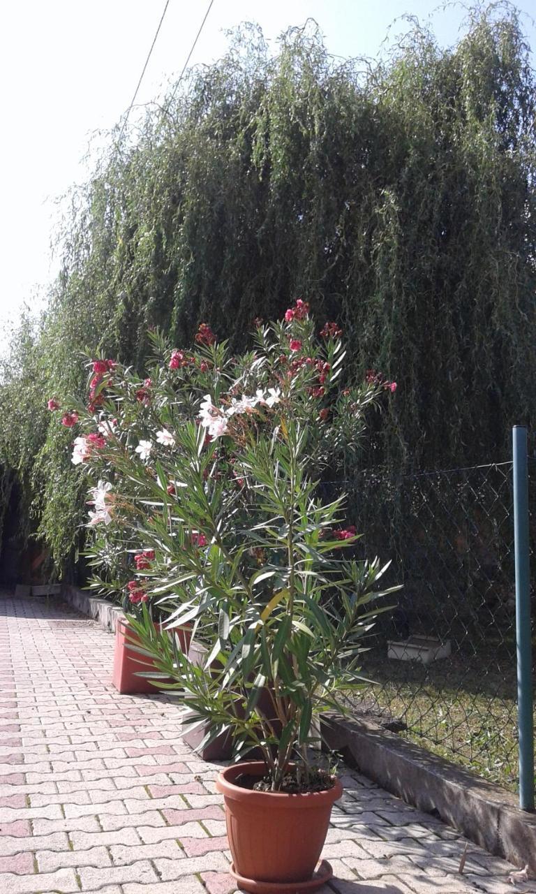 Apartman Andelina Vrnjačka Banja מראה חיצוני תמונה