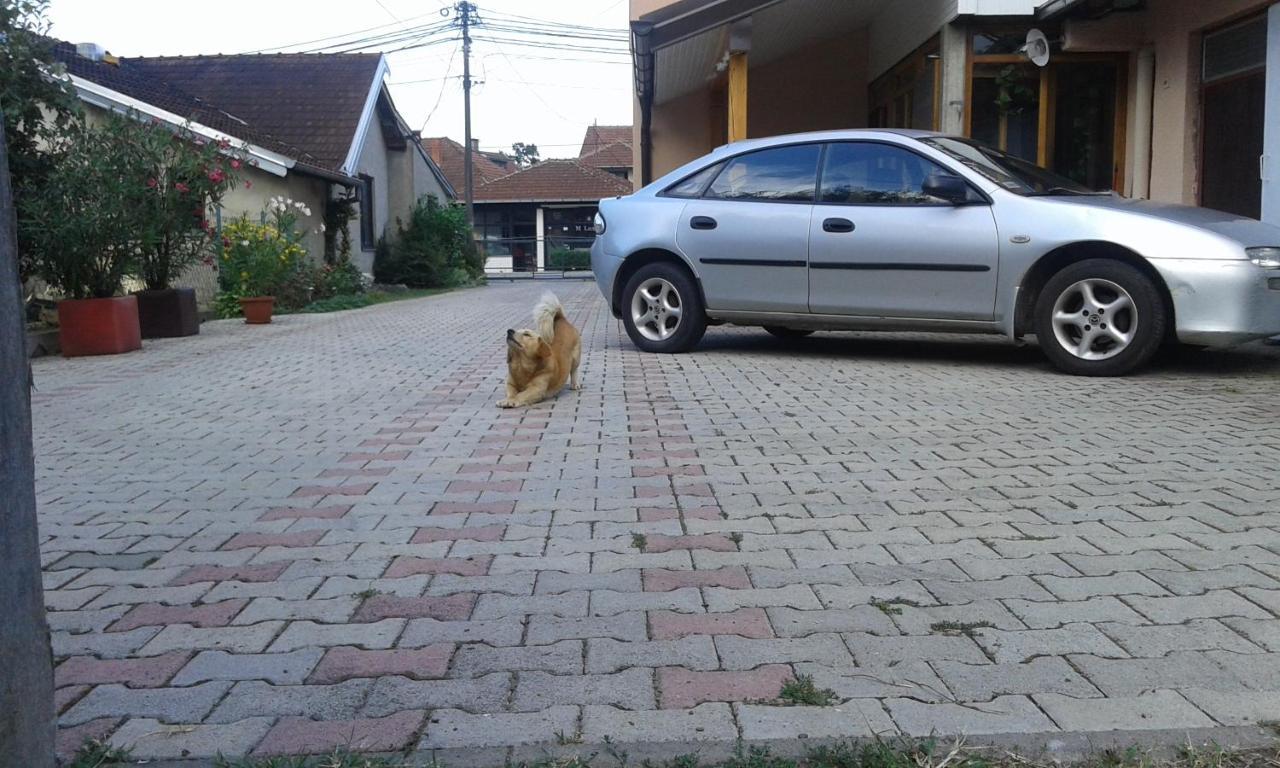 Apartman Andelina Vrnjačka Banja מראה חיצוני תמונה